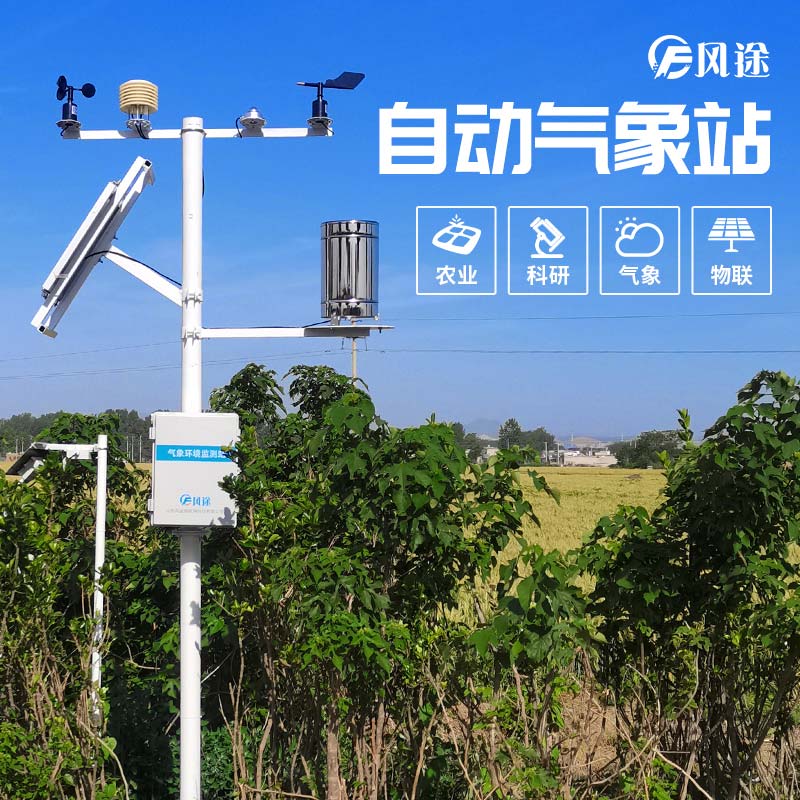 小麥穗期病蟲害如何監(jiān)測？